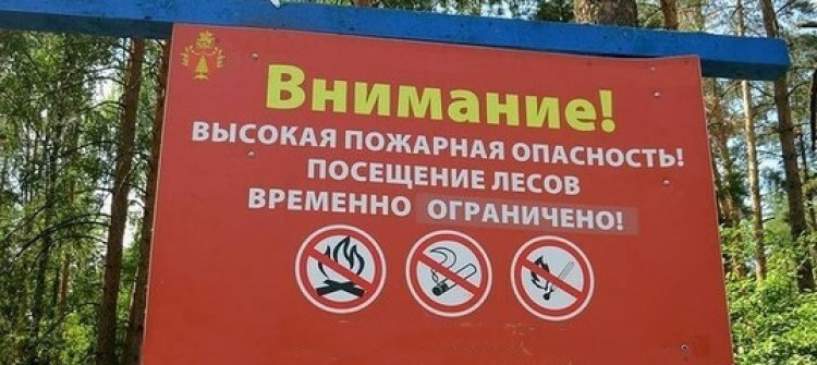 Ограничение пребывания граждан в лесах Елизовского, Тигильского, Паланского, Усть-Харюзовского, Мильковского, Долиновского, Анавгайского, Эссовского и Майского участковых лесничеств