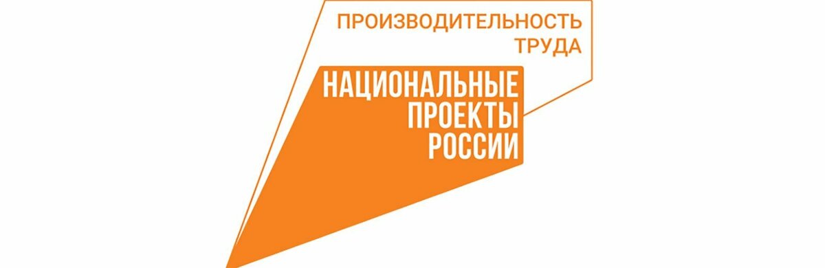 Зимняя сессия состоялась для предприятий – участников национального проекта «Производительность труда»