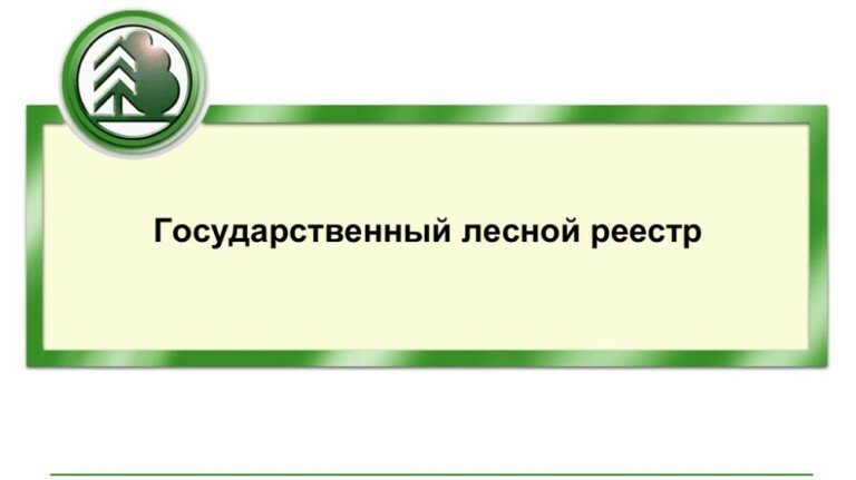 Лесхоз Камчатки: получить выписку из государственного лесного реестра можно через портал «Госуслуги»