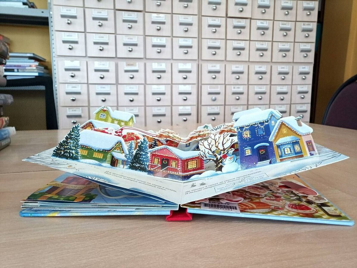 На Камчатку поступили книги для будущей модельной библиотеки