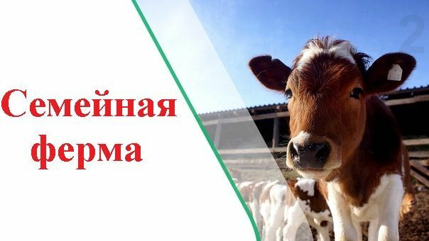 Аграриев и животноводов Камчатки приглашают поучаствовать в конкурсе грантов «Семейная ферма»