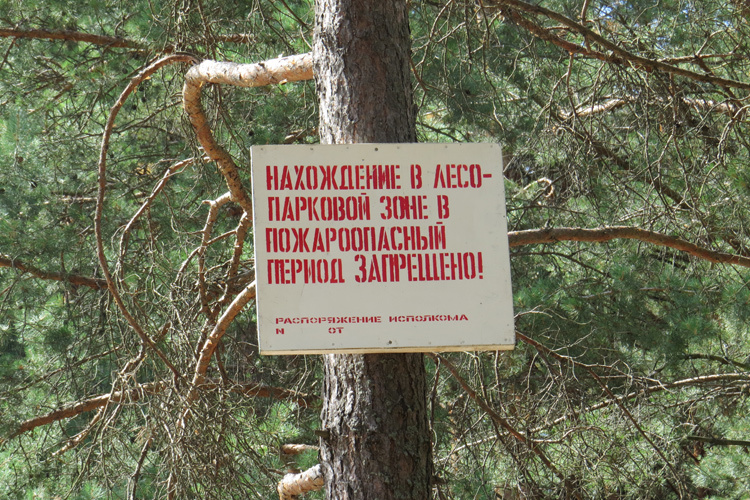 Ограничение пребывания граждан в лесах Лазовского, Щапинского, Атласовского, Крапивненского и Козыревского участковых лесничеств
