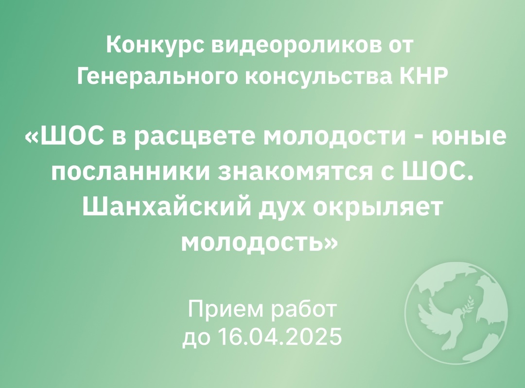 Студенты и молодежь Камчатки могут принять участие в конкурсе видеороликов