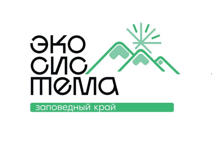Работа Всероссийского молодежного экологического форума «Экосистема. Заповедный край» на Камчатке сохранила свою практикоориентированность