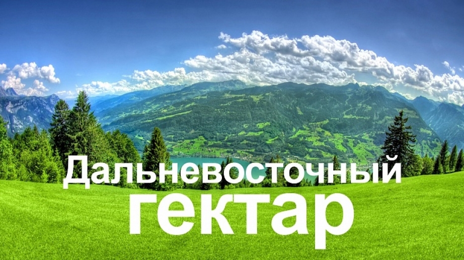 Юрий Трутнев поручил усовершенствовать программу по предоставлению «дальневосточного гектара»
