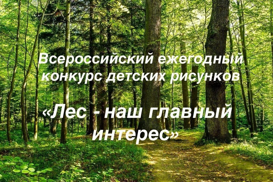 На Камчатке наградили призёров и участников конкурса детских рисунков  «Лес — наш главный интерес»